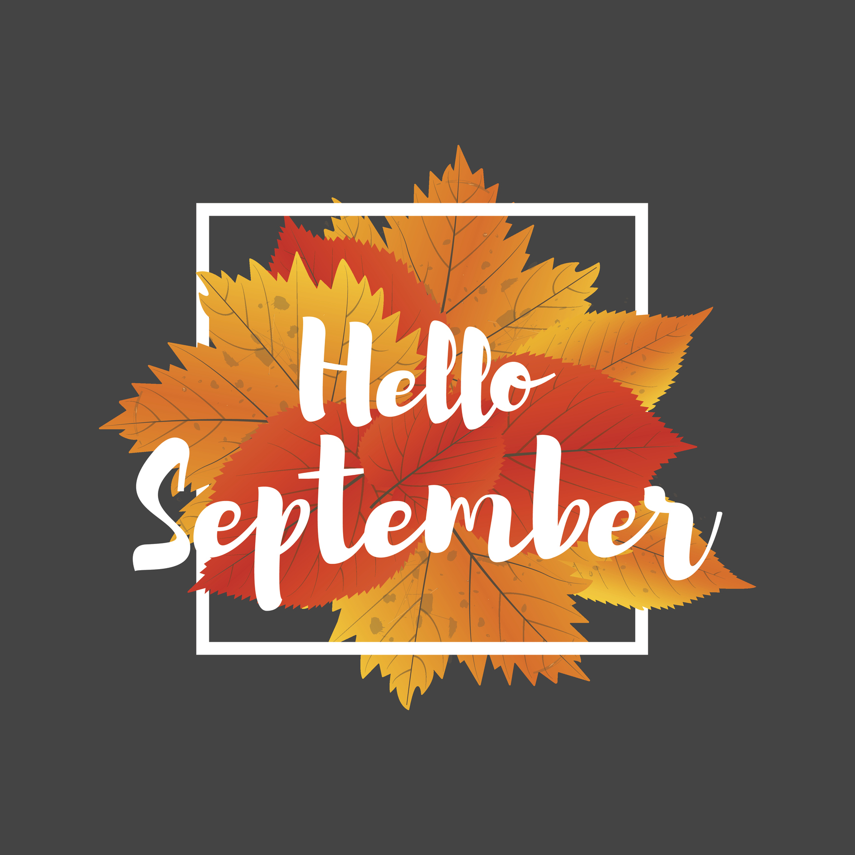 What Does September Mean for Your Portfolio?
